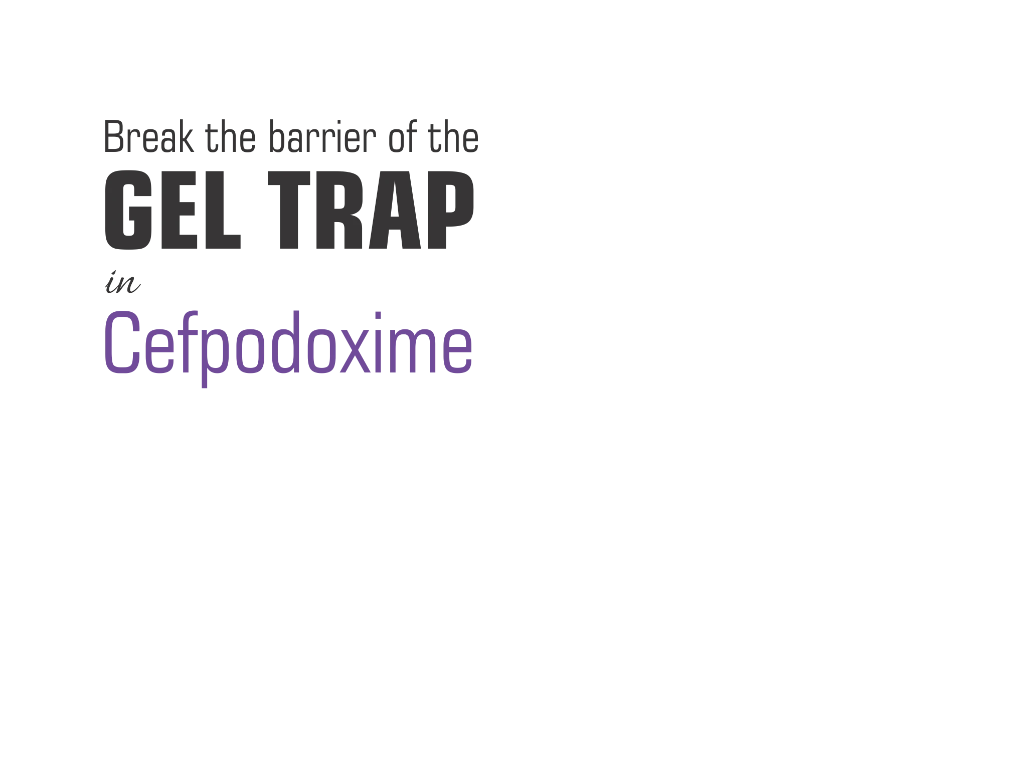 Second Slide